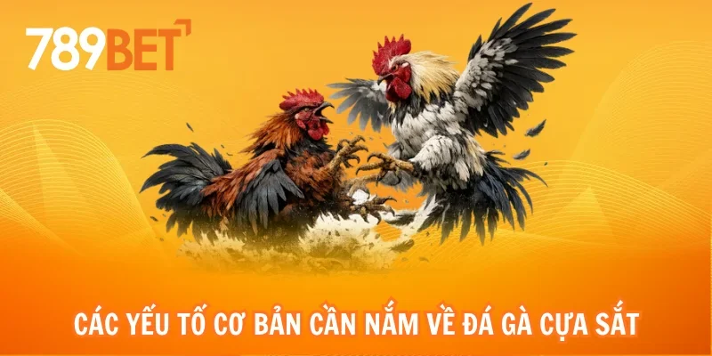 Các yếu tố cơ bản cần nắm về đá gà cựa sắt của 789bet