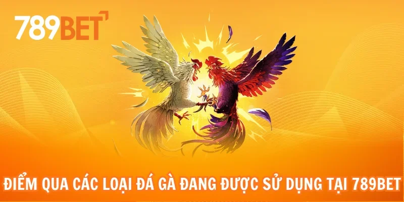 Điểm qua các loại đá gà đang được sử dụng tại 789bet
