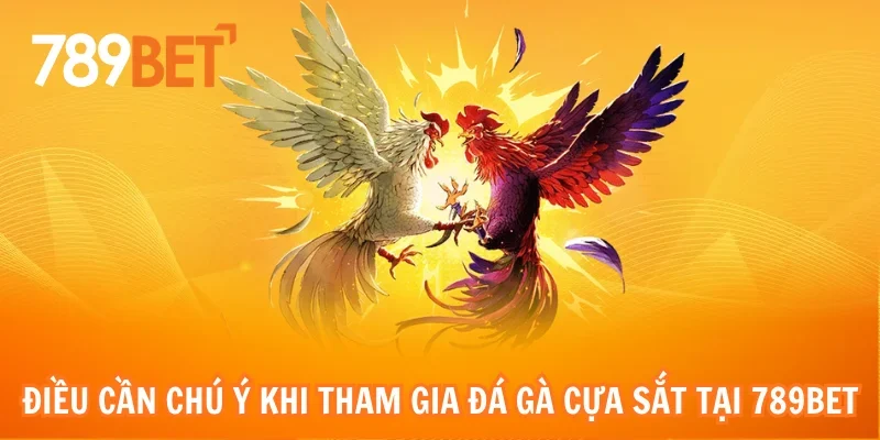 Điều cần chú ý trong quá trình tham gia đá gà cựa sắt tại 789bet
