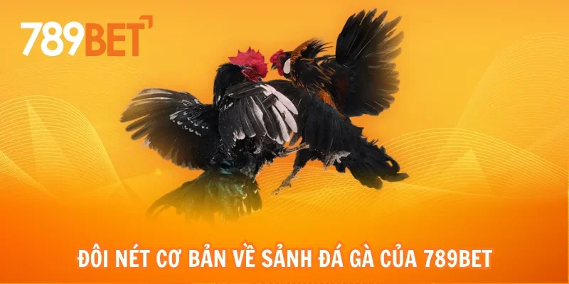 Đôi nét cơ bản về sảnh đá gà của 789bet