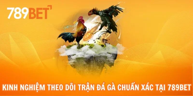 Kinh nghiệm theo dõi trận đá gà chuẩn xác tại 789bet