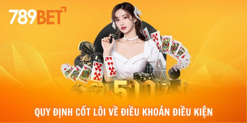 Quy định cốt lõi về điều khoản điều kiện khi tham gia khuyến mãi